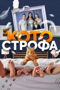  Котострофа 